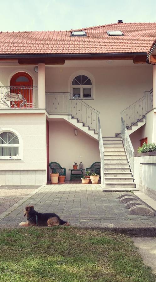 Prenocisca Angelin Hram, Tiny Apartments Markovec Exteriér fotografie
