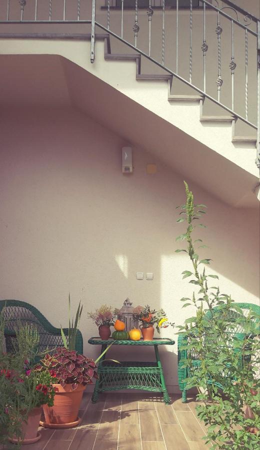 Prenocisca Angelin Hram, Tiny Apartments Markovec Exteriér fotografie