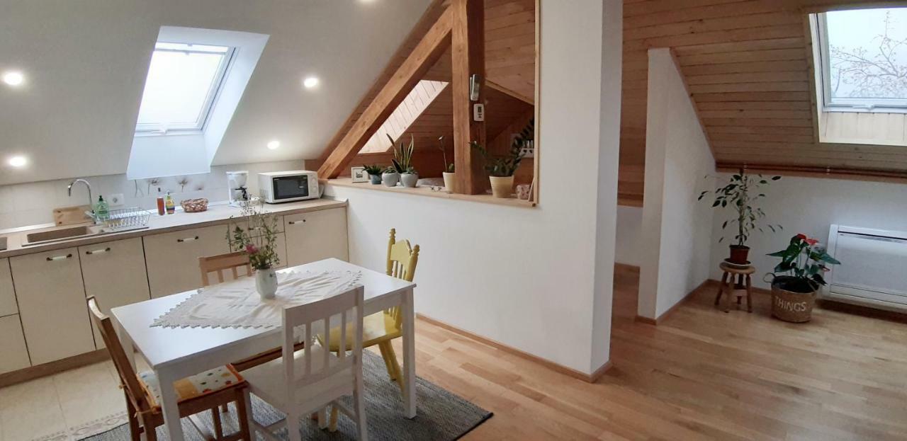 Prenocisca Angelin Hram, Tiny Apartments Markovec Exteriér fotografie